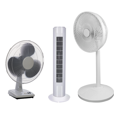 Fan